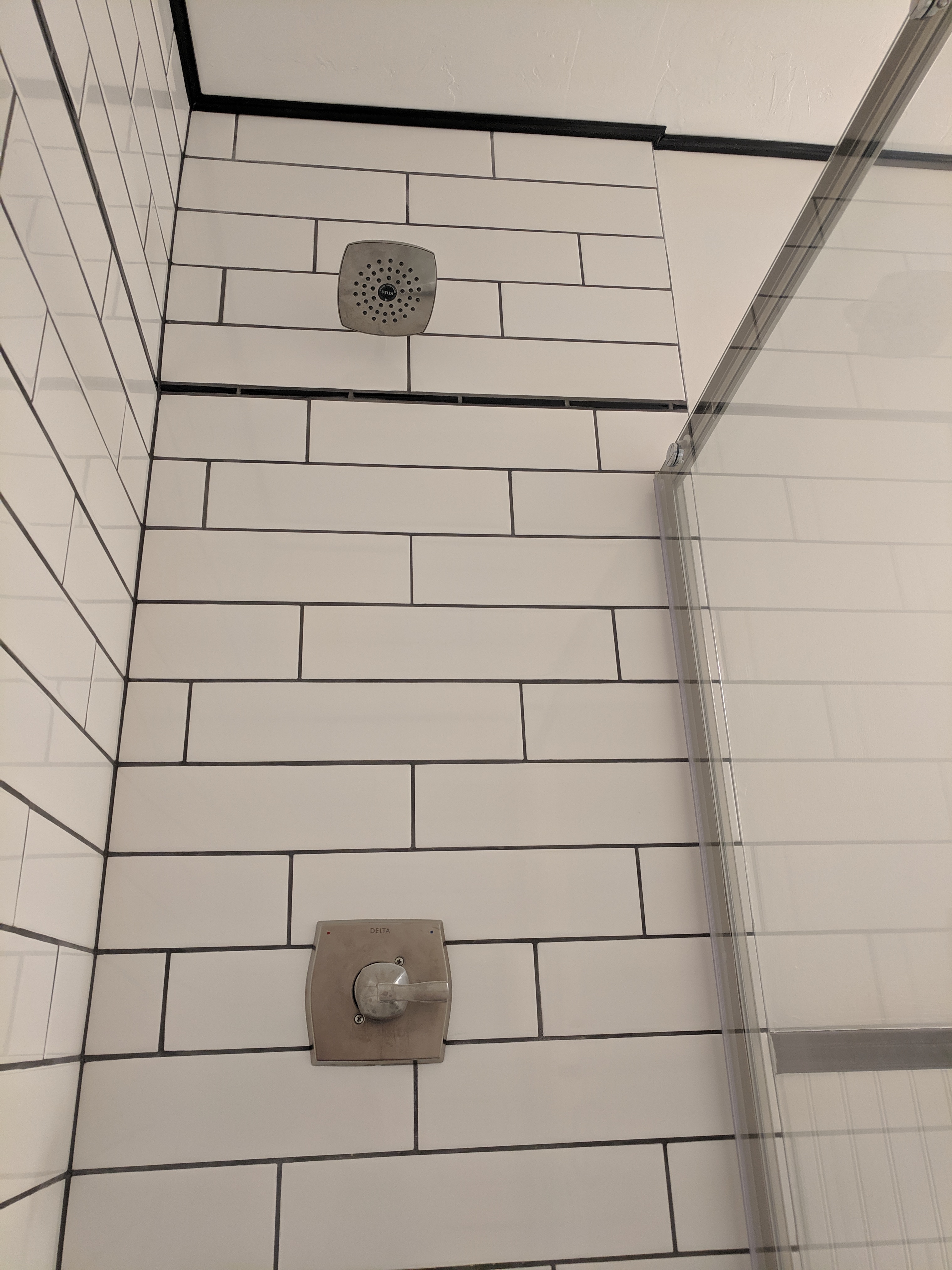 Downstairs Bathroom Shower