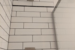 Downstairs Bathroom Shower